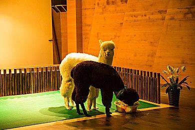 欧美零售商透露新3D《马里奥》和新《塞尔达》重制